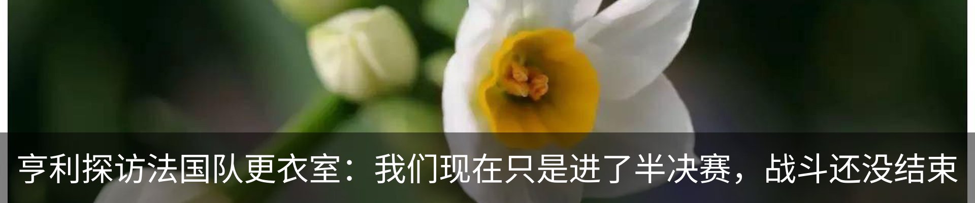 资讯动态
