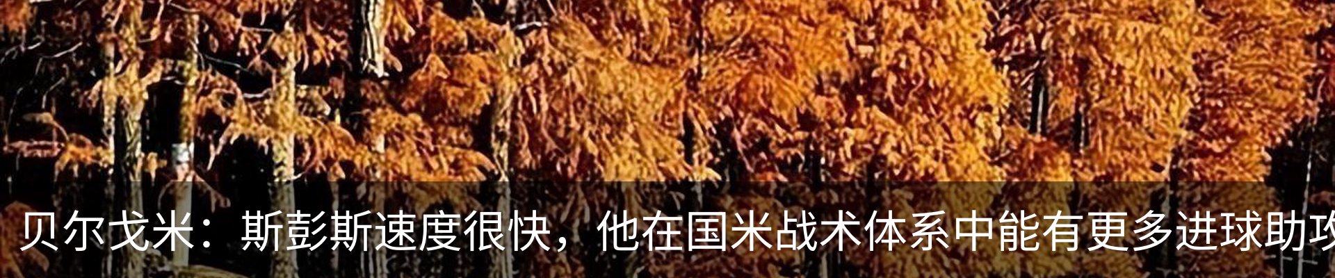 资讯动态
